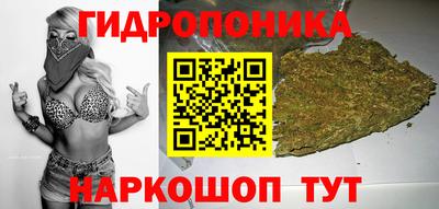 гидропоника Усть-Джегута