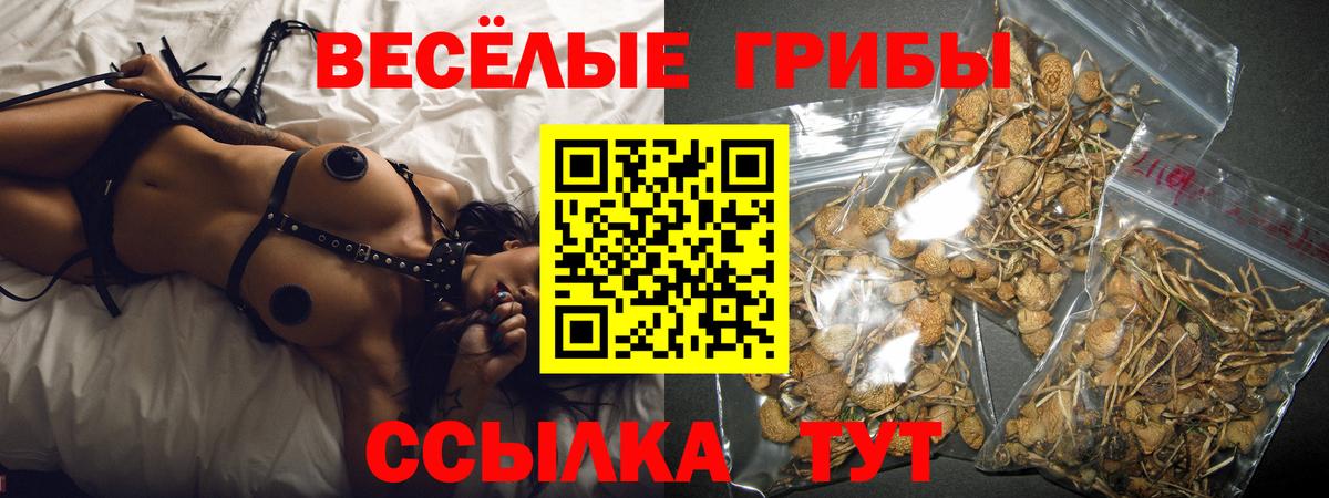 Псилоцибиновые грибы прущие грибы  Вход с VPN  Сухой Лог  Галлюциногенные грибы мухоморы 